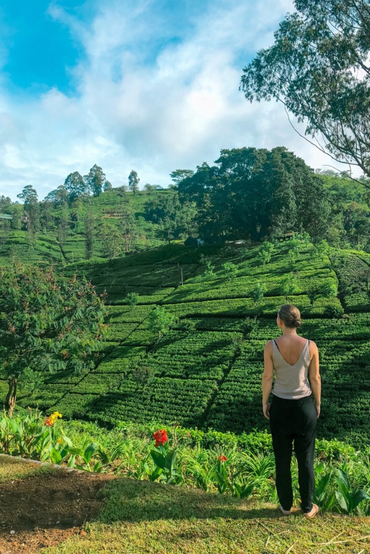 Sri lanka Itinerary Sri lanka Itinerary