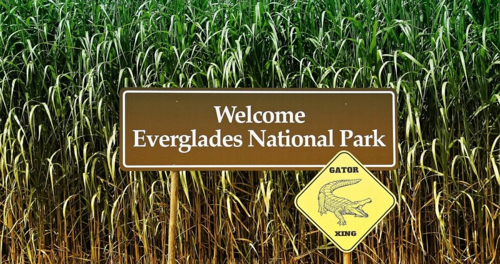 best hikes in the everglades