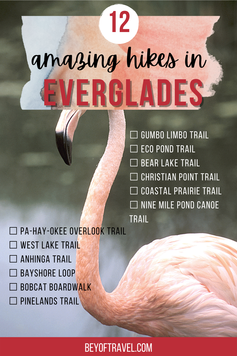 Hikes in the Everglades1