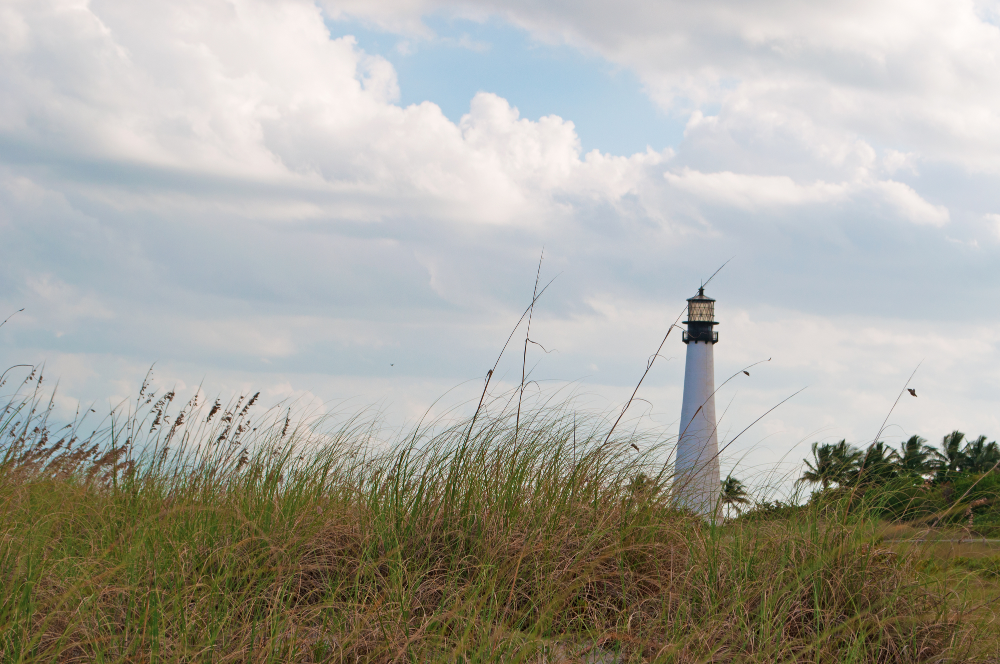 Best Hikes in Miami