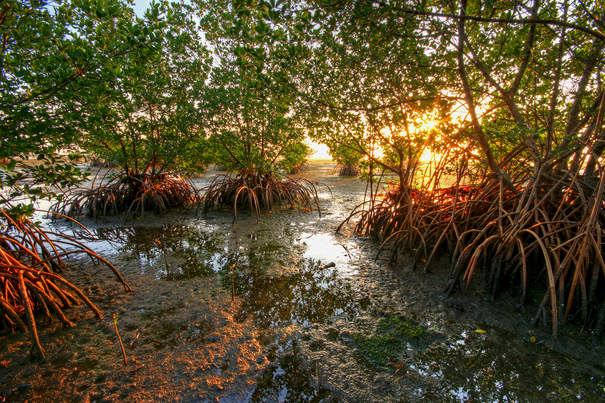 Hikes in Miami