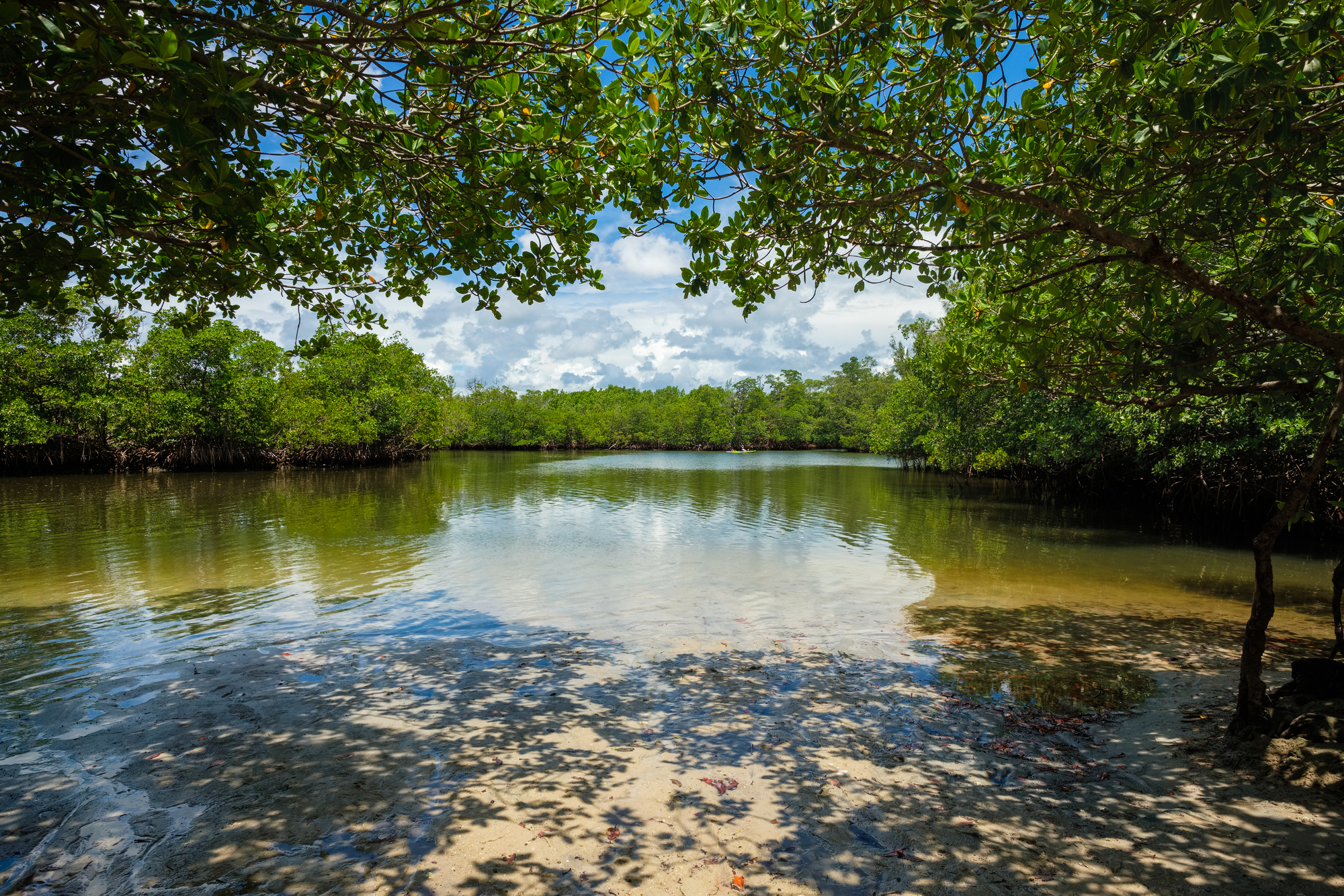 best hikes in Miami - Oleta River State Park