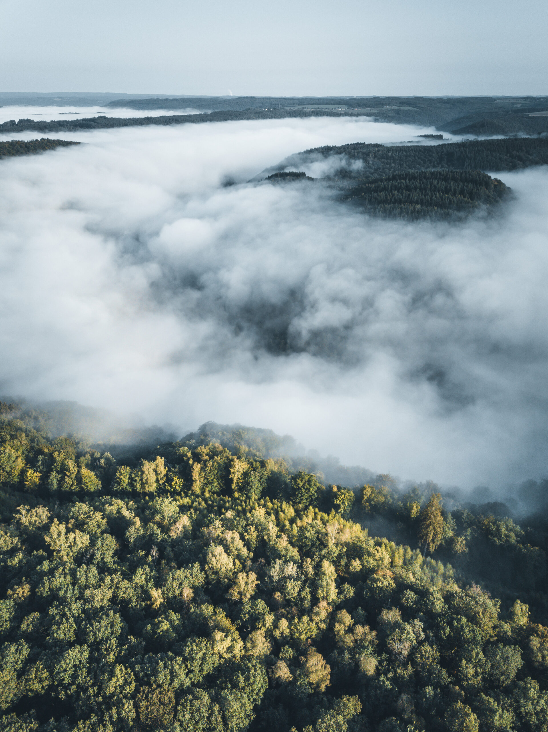 Mooiste wandelingen Ardennen