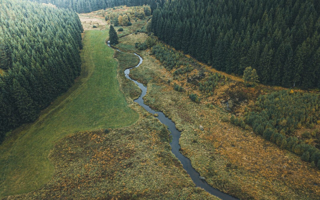 De 20 mooiste wandelingen in de Ardennen