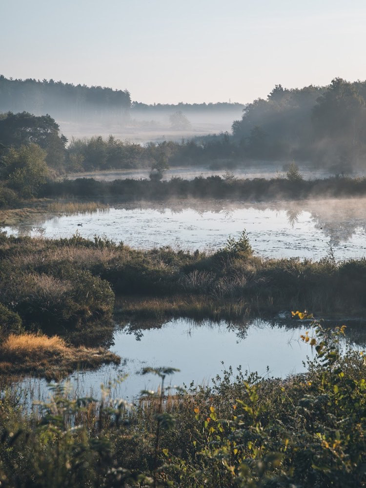 Mooiste wandelingen in België1
