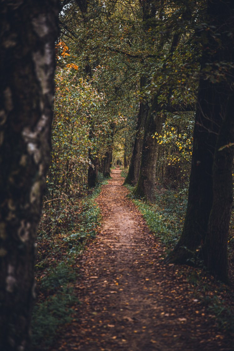 Wandelen in België