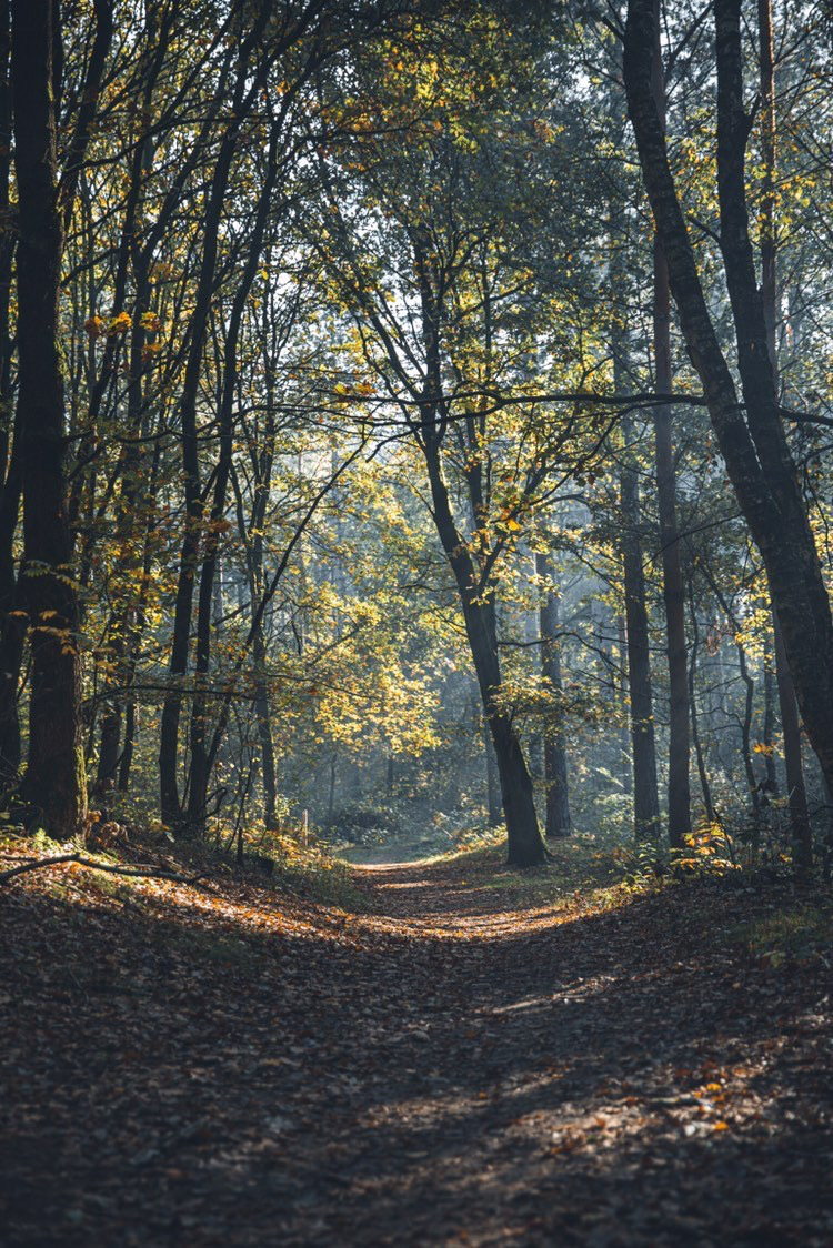 Wandelen in België