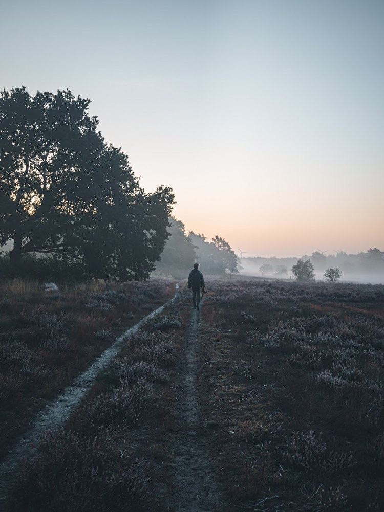 Wandelen in België