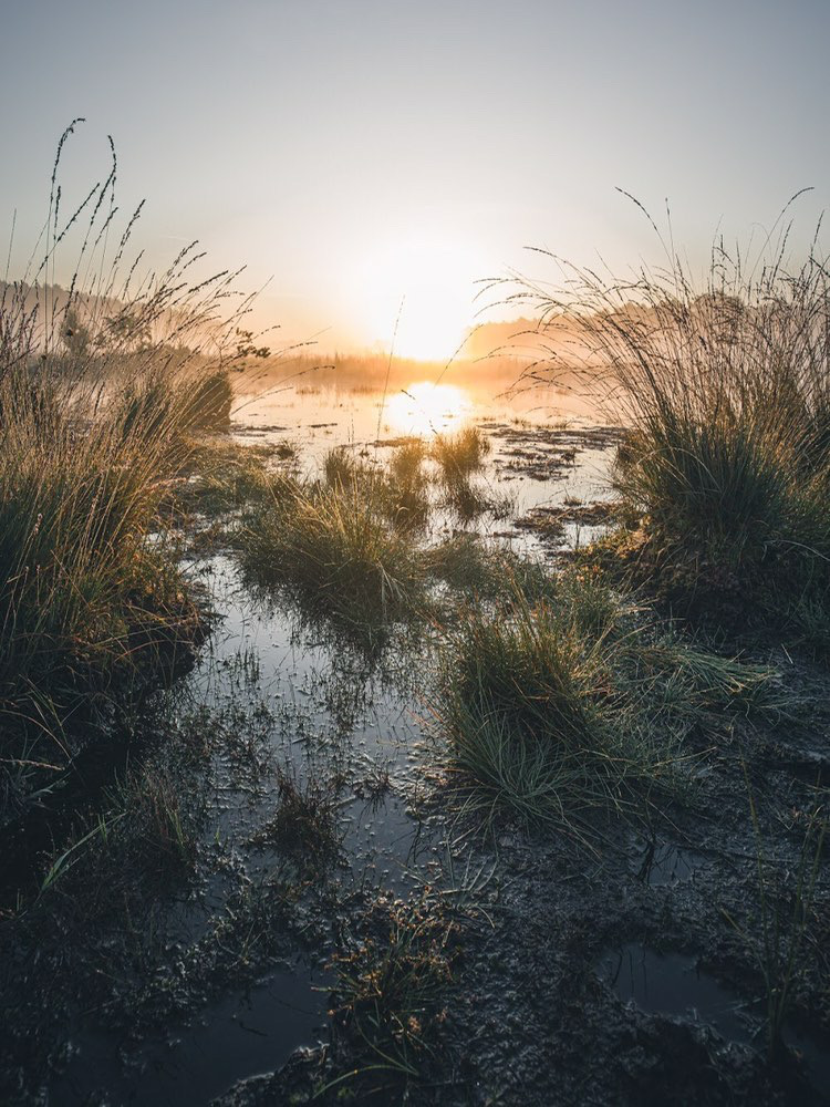 Wandelen in België