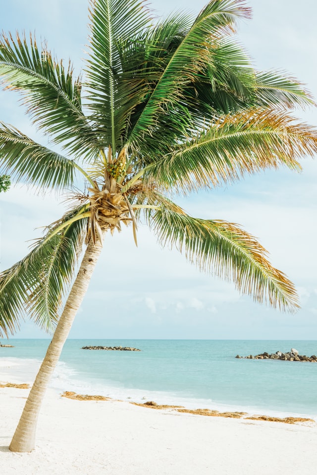 Wat te doen in Miami Wat te doen in Miami