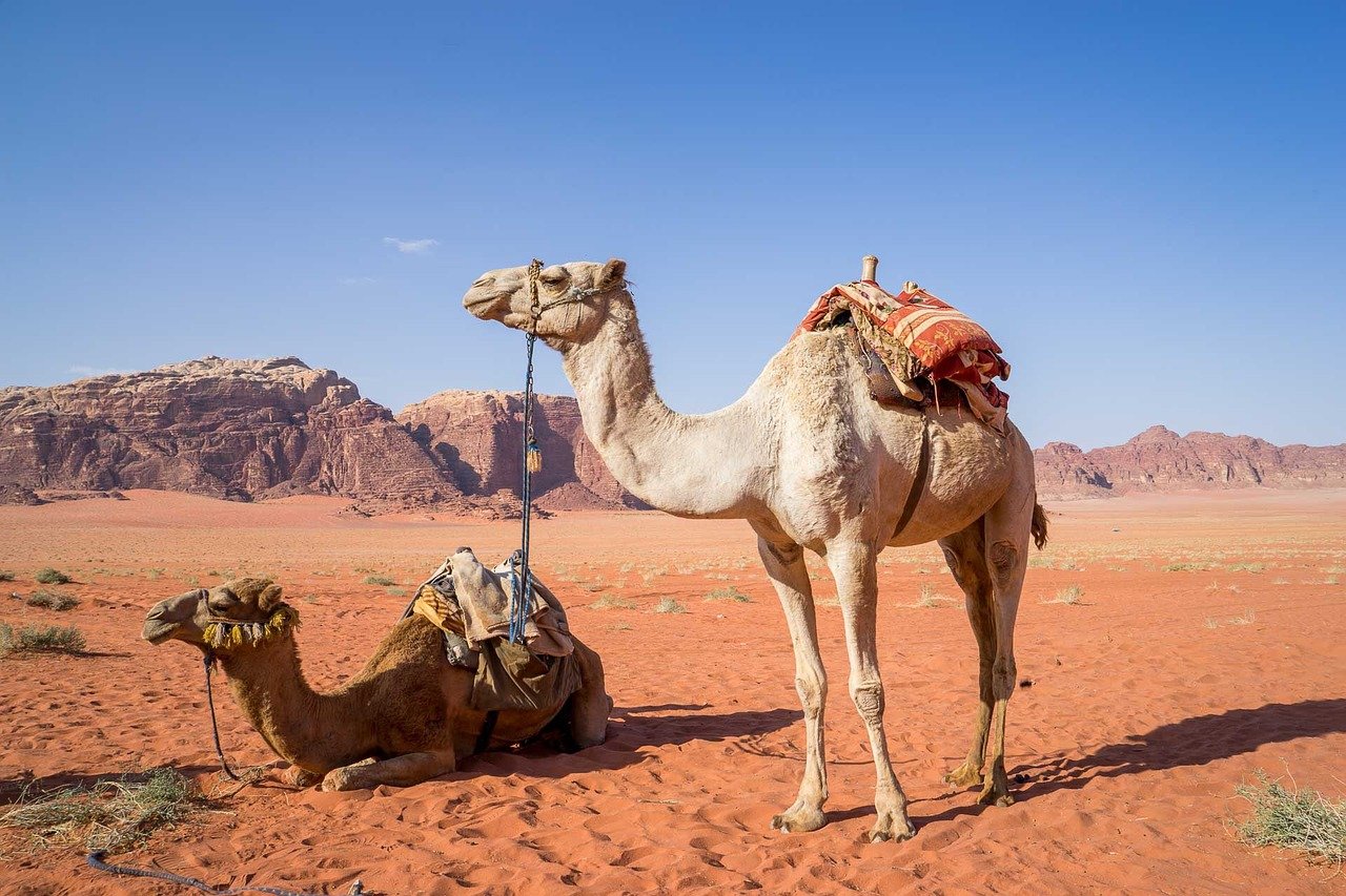 Jordan itinerary Wadi Rum