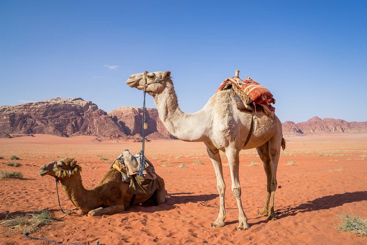 Wadi Rum