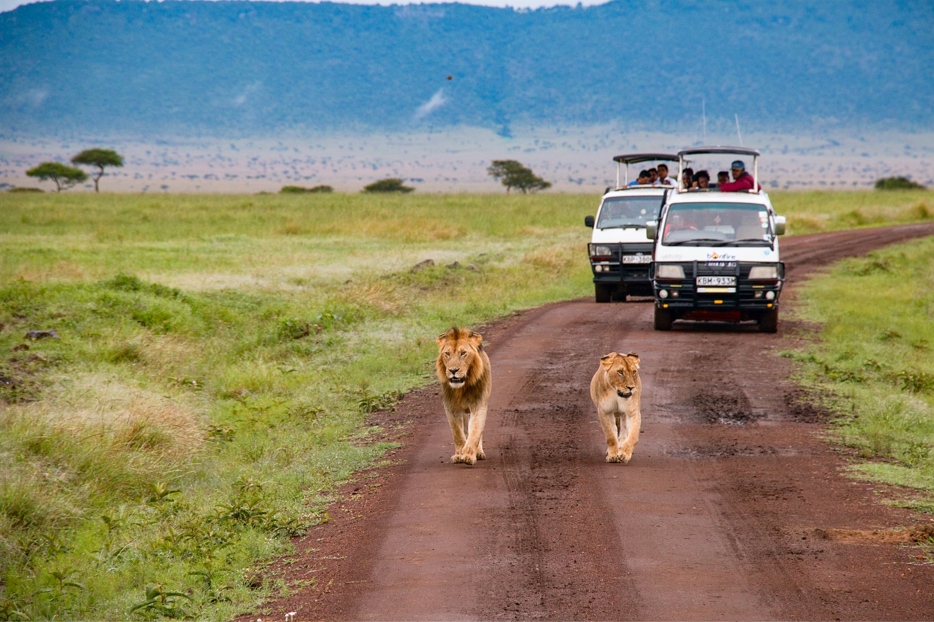 Best time to visit Masai Mara