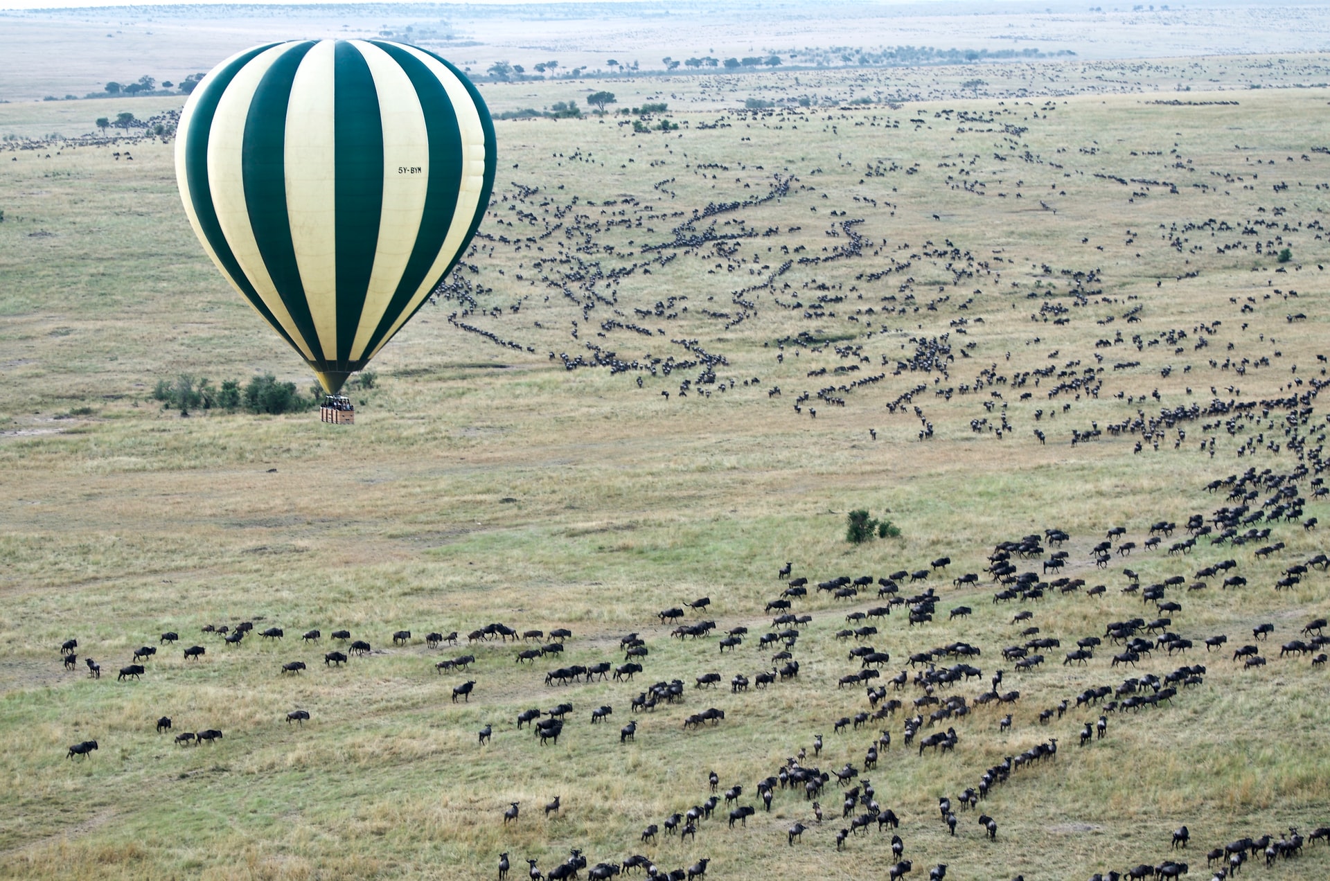 Best time to visit Masai Mara