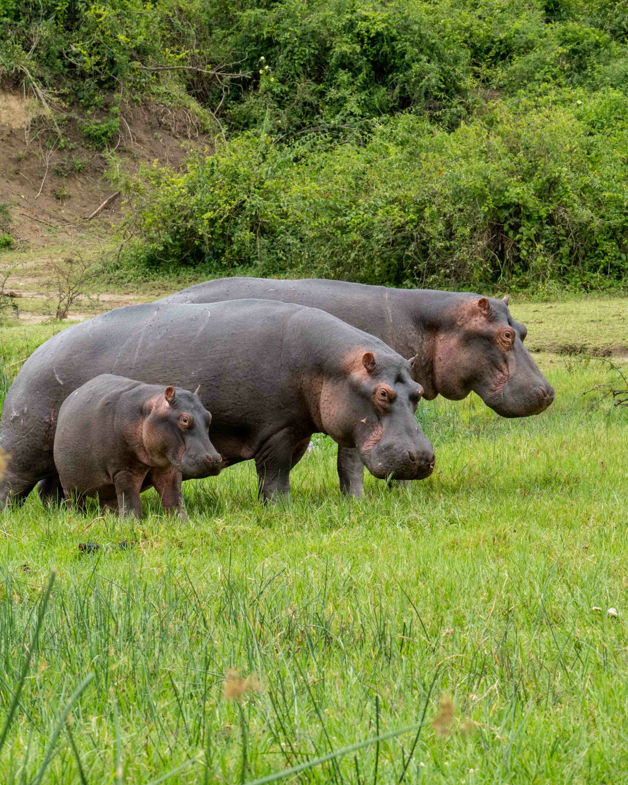 Uganda Road Trip