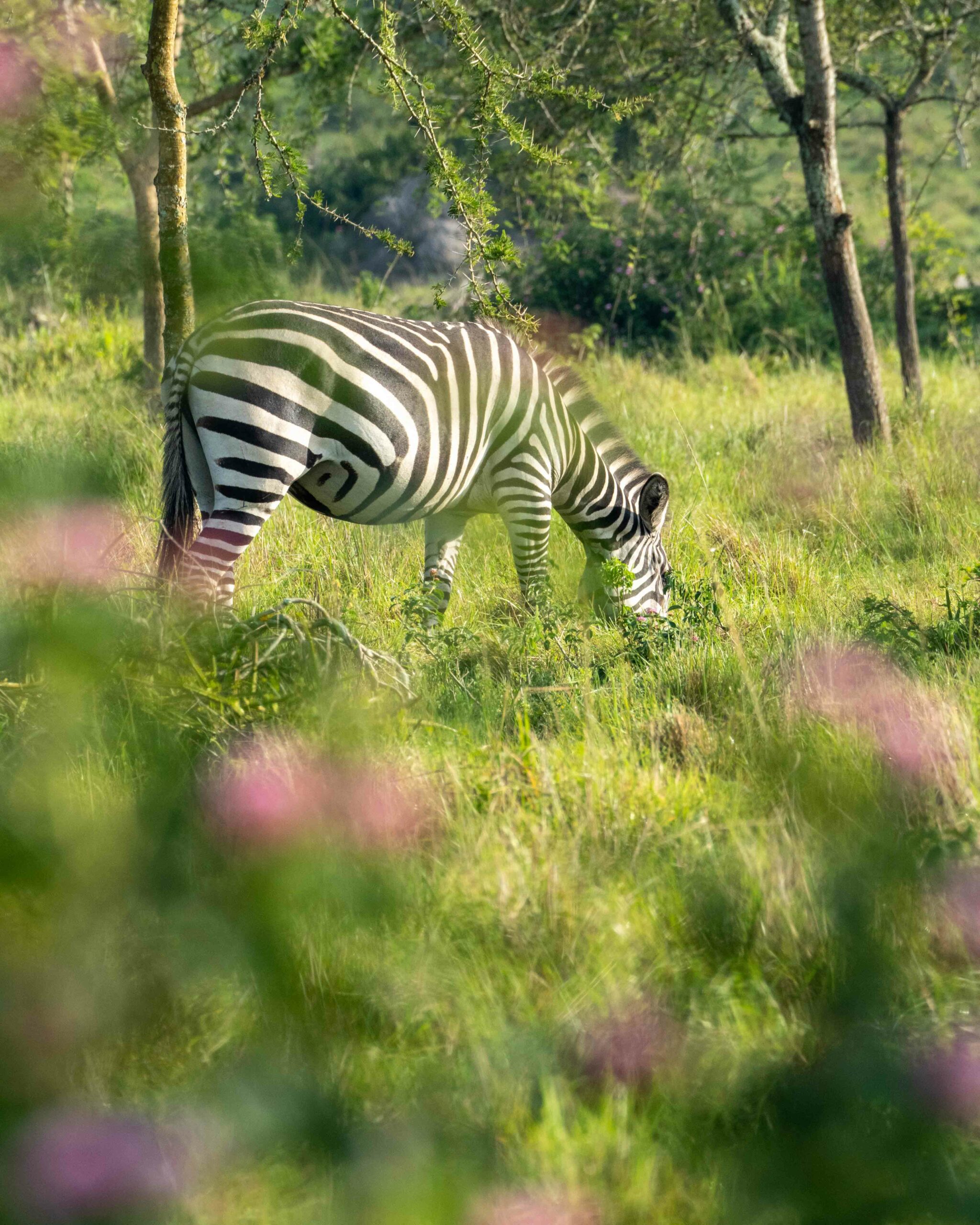 Uganda Road Trip