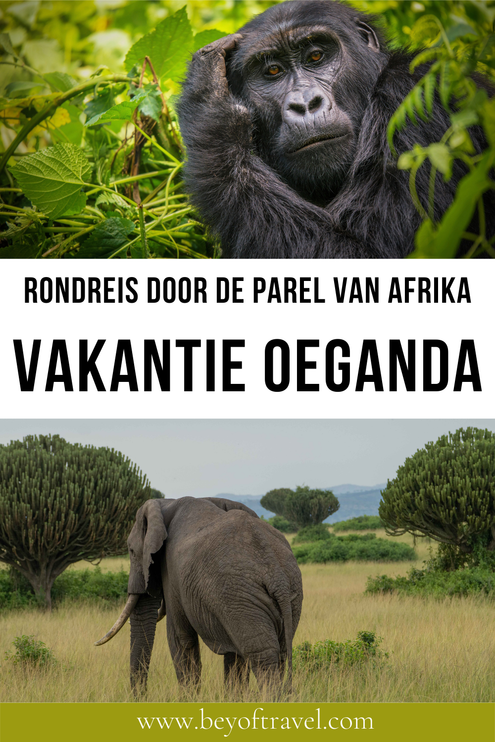 Vakantie Oeganda Vakantie Oeganda