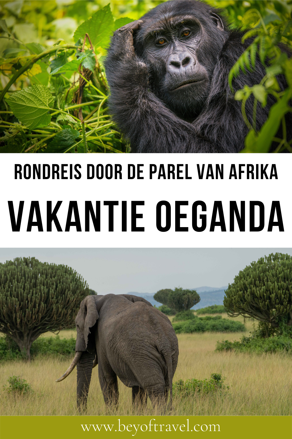 Vakantie Oeganda