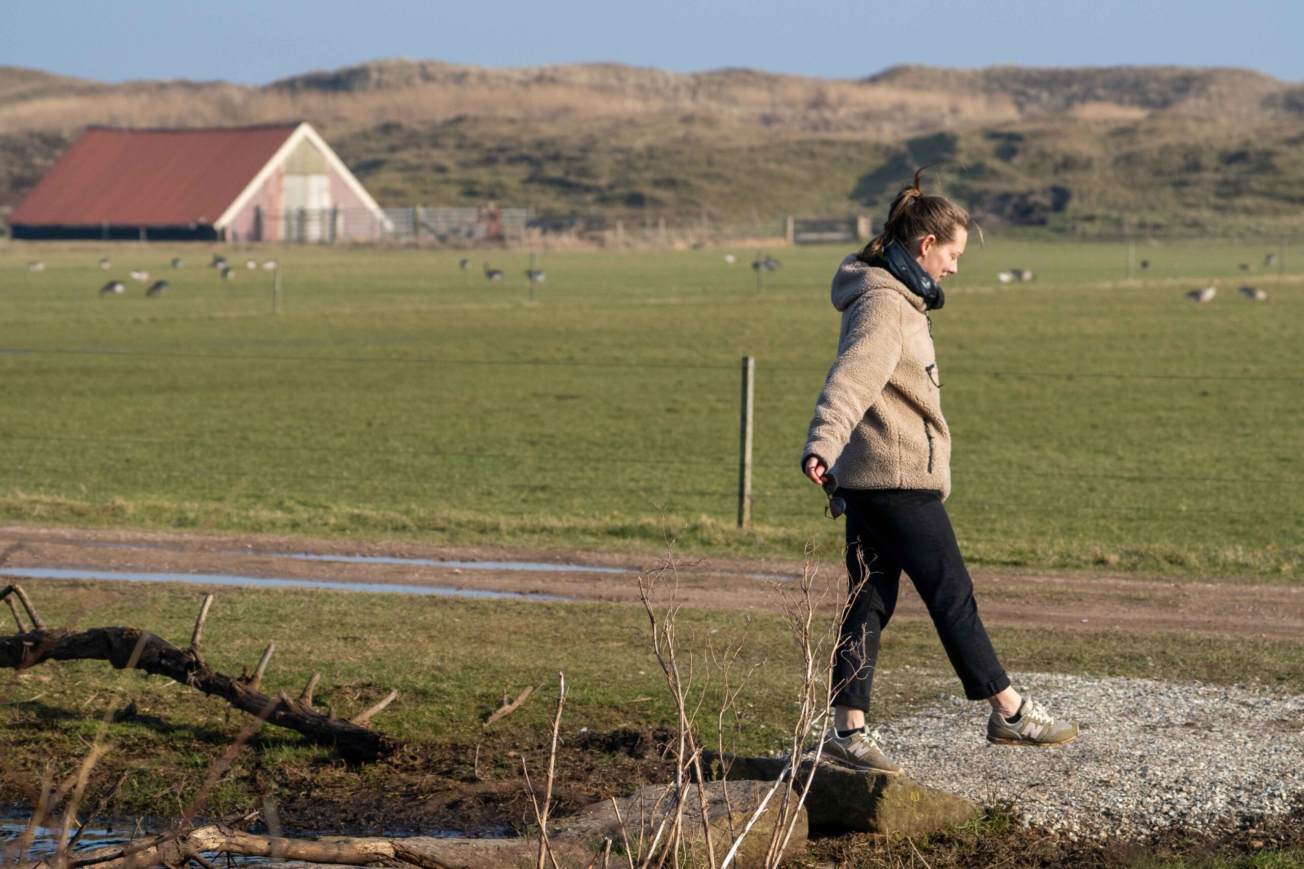Vrouw wandelend doorheen de weilanden op Texel