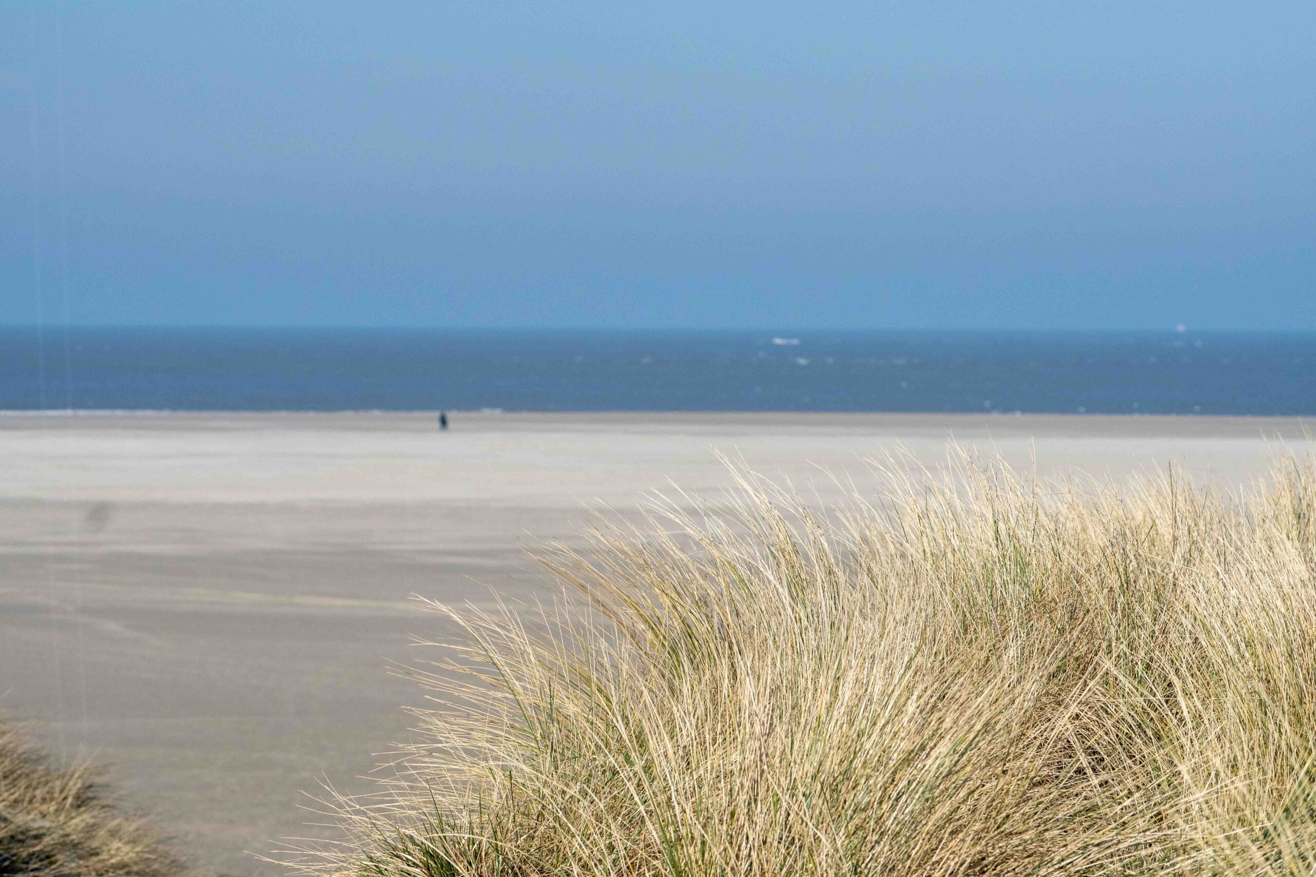strandduinen Texel