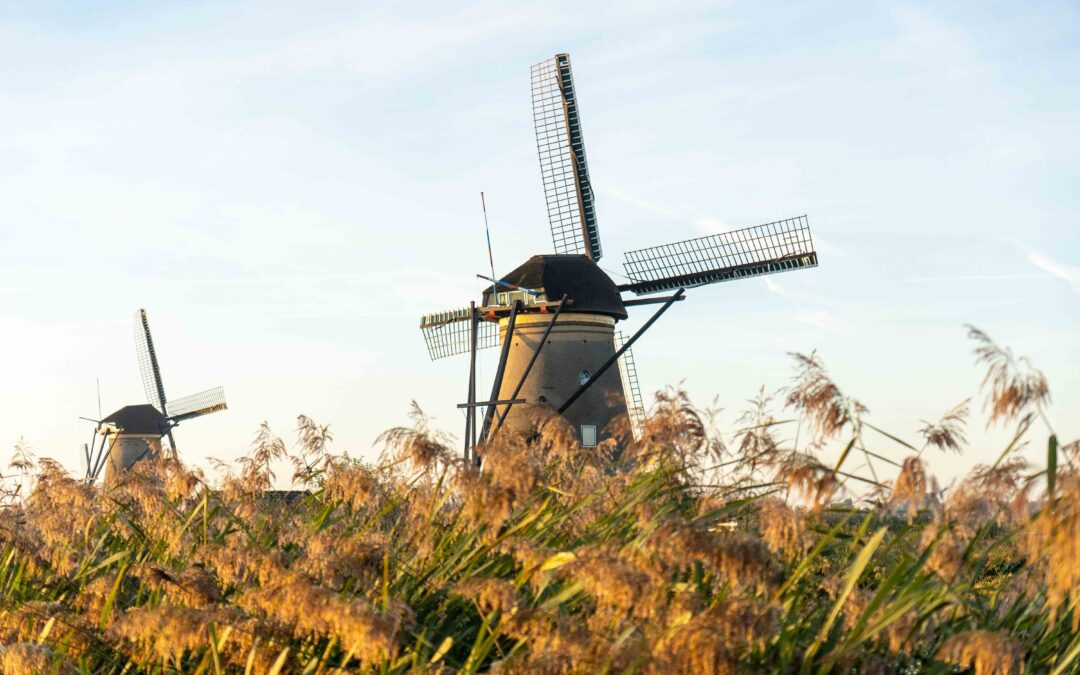 Visiting Kinderdijk – all the information you need