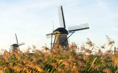 Kinderdijk bezoeken – alle informatie die je nodig hebt