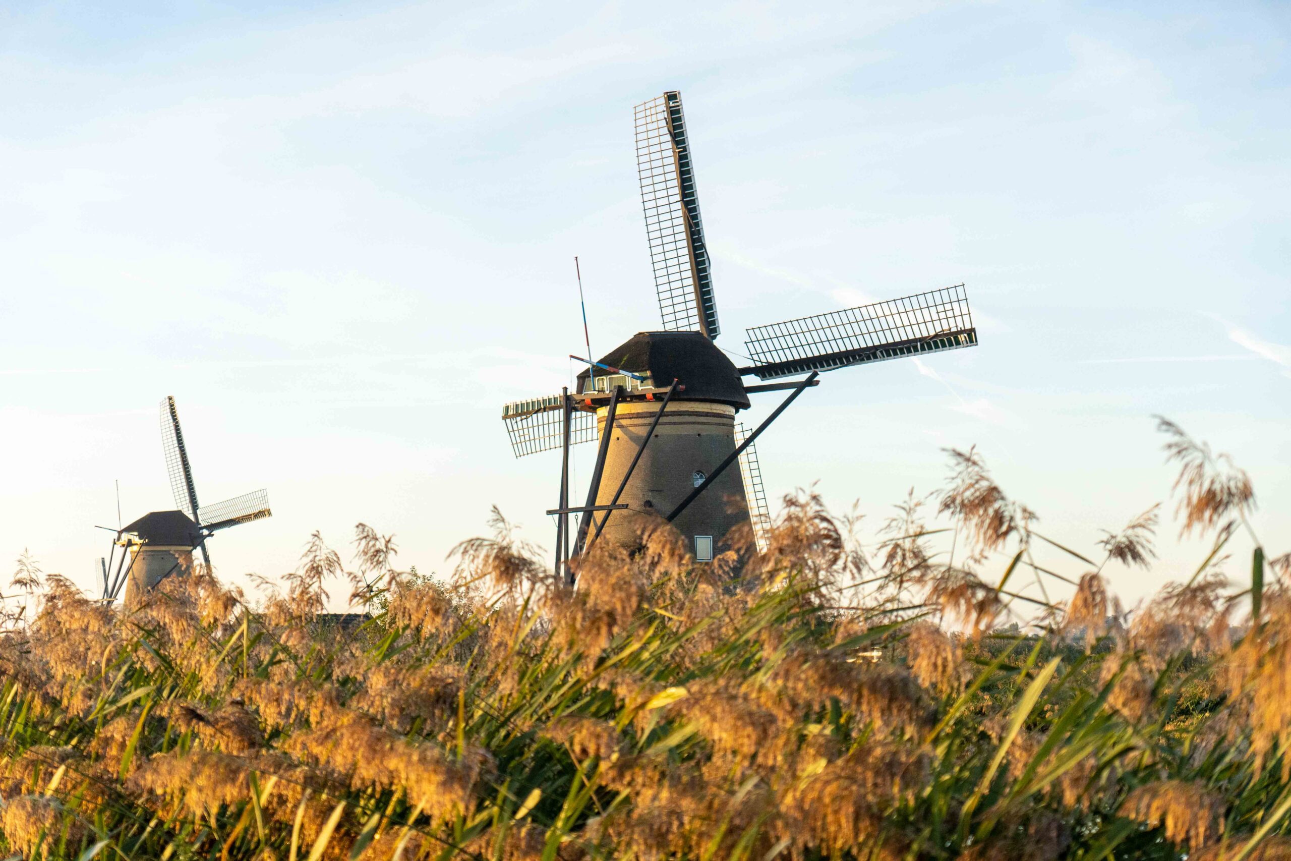 visiting Kinderdijk 