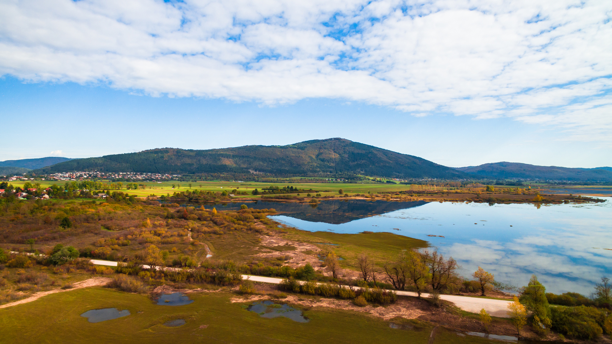 Aerial drone view of amazing autumn colors on the lake. Cerknisko lake, Slovenia