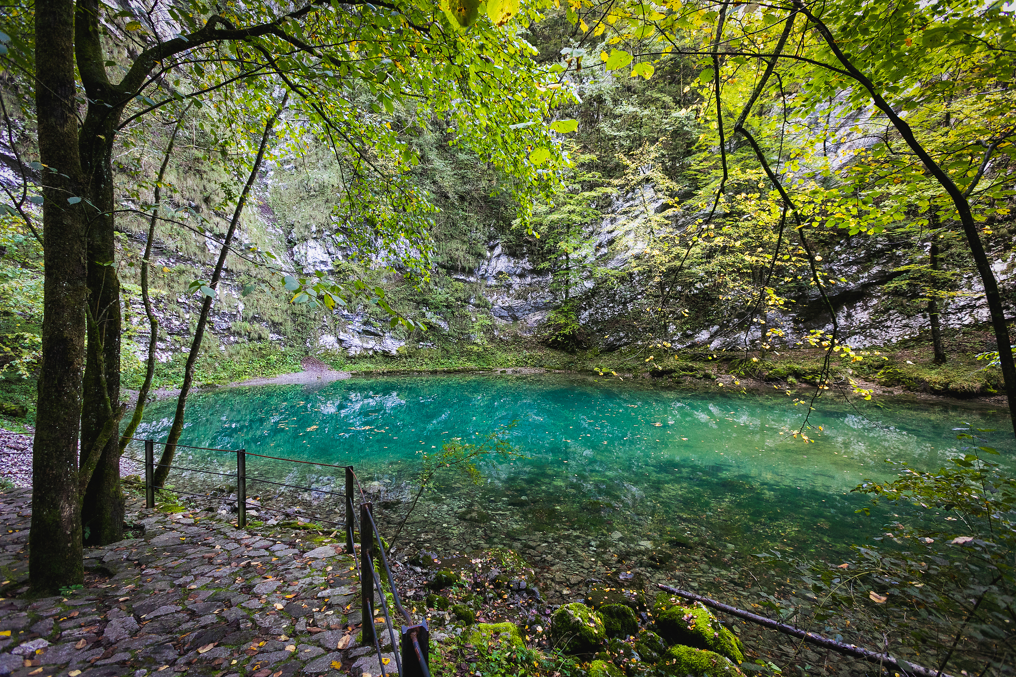 Slovenië mooiste meren - wild lake