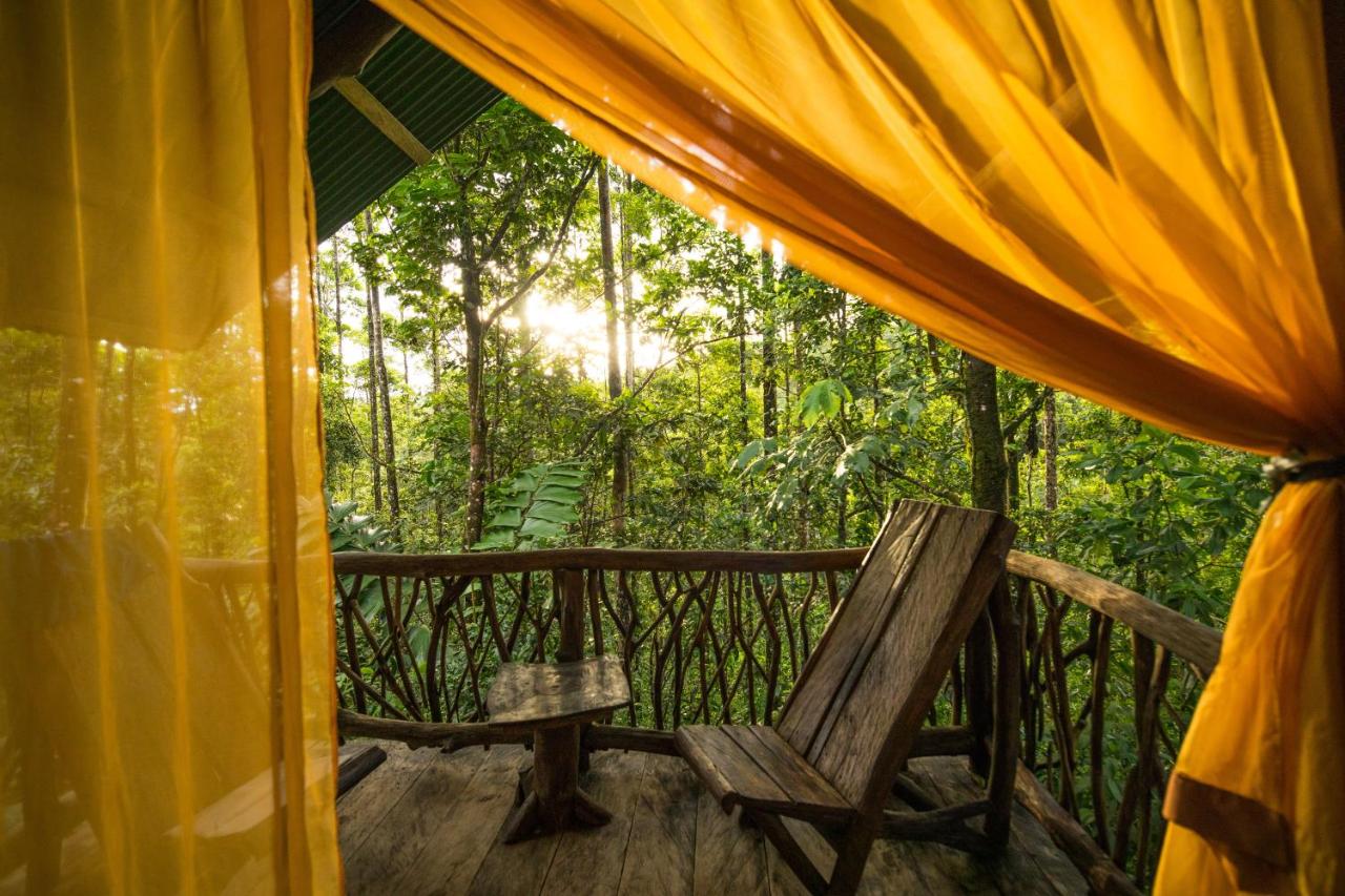 La Tigra Rainforest Lodge - Costa Rica Glamping