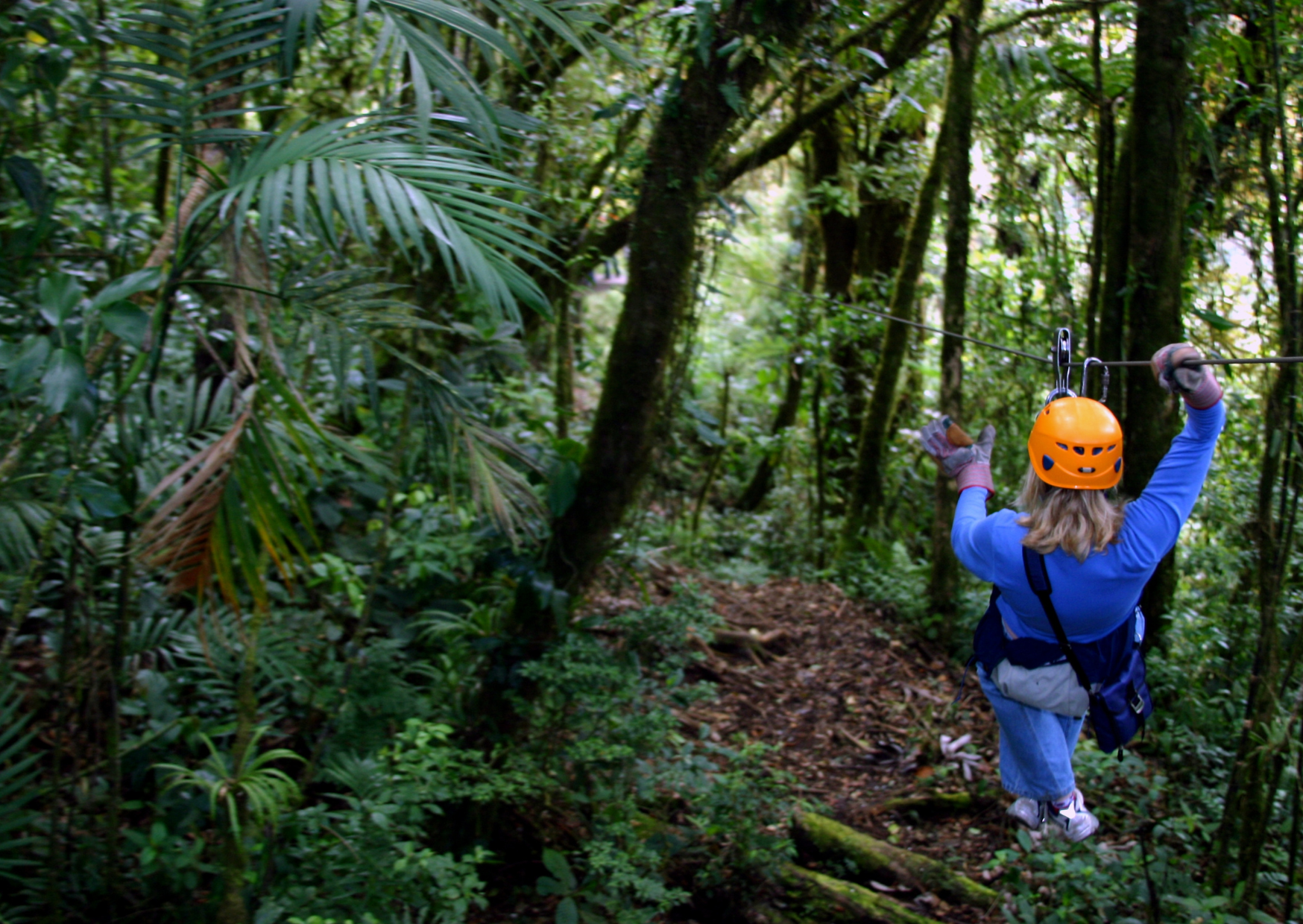 Best Things to do in Monteverde Costa Rica