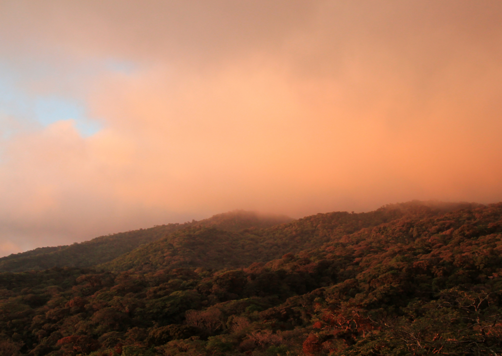 best things to do in Monteverde Costa Rica1 best things to do in Monteverde Costa Rica