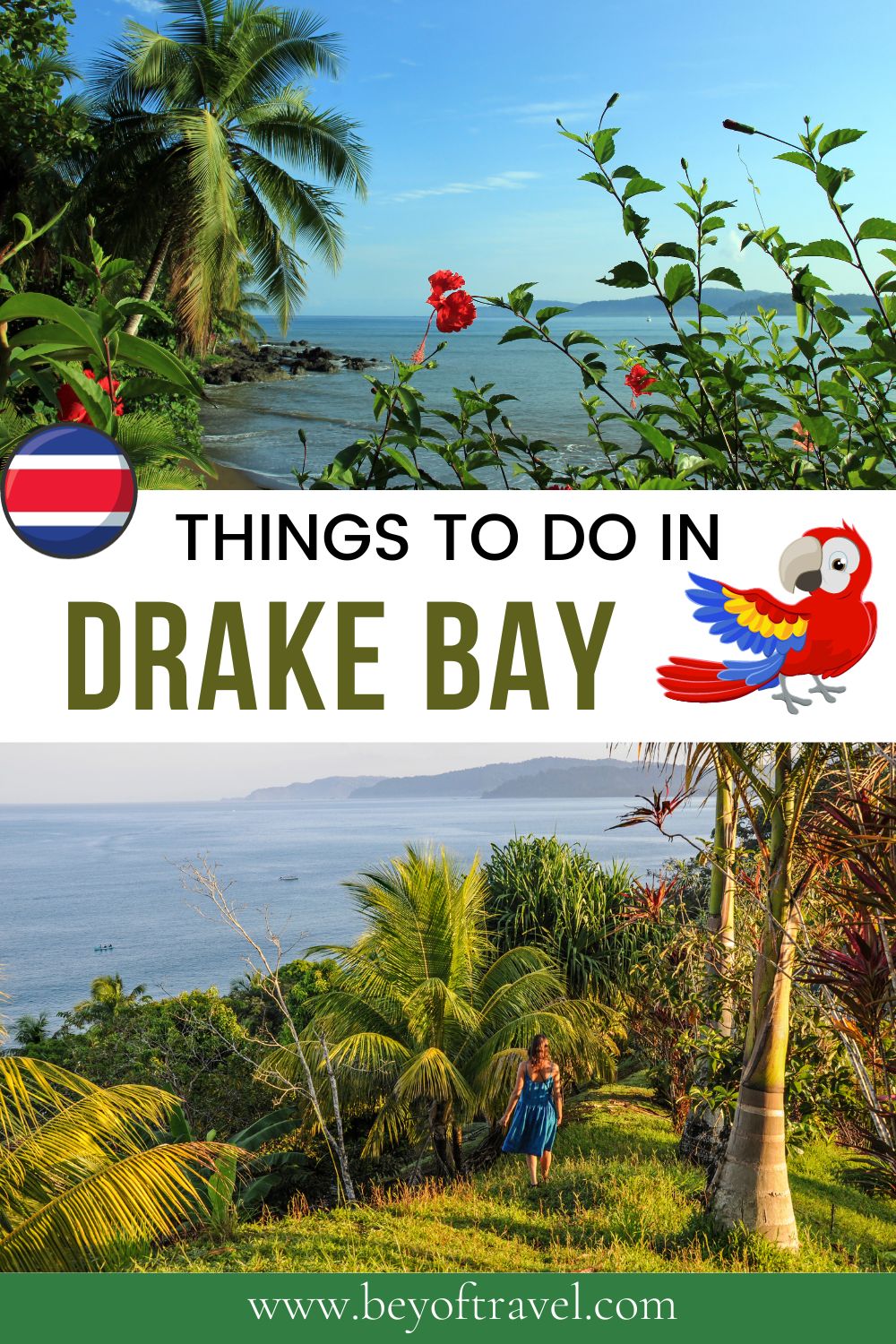 Things to do in Drake Bay CR