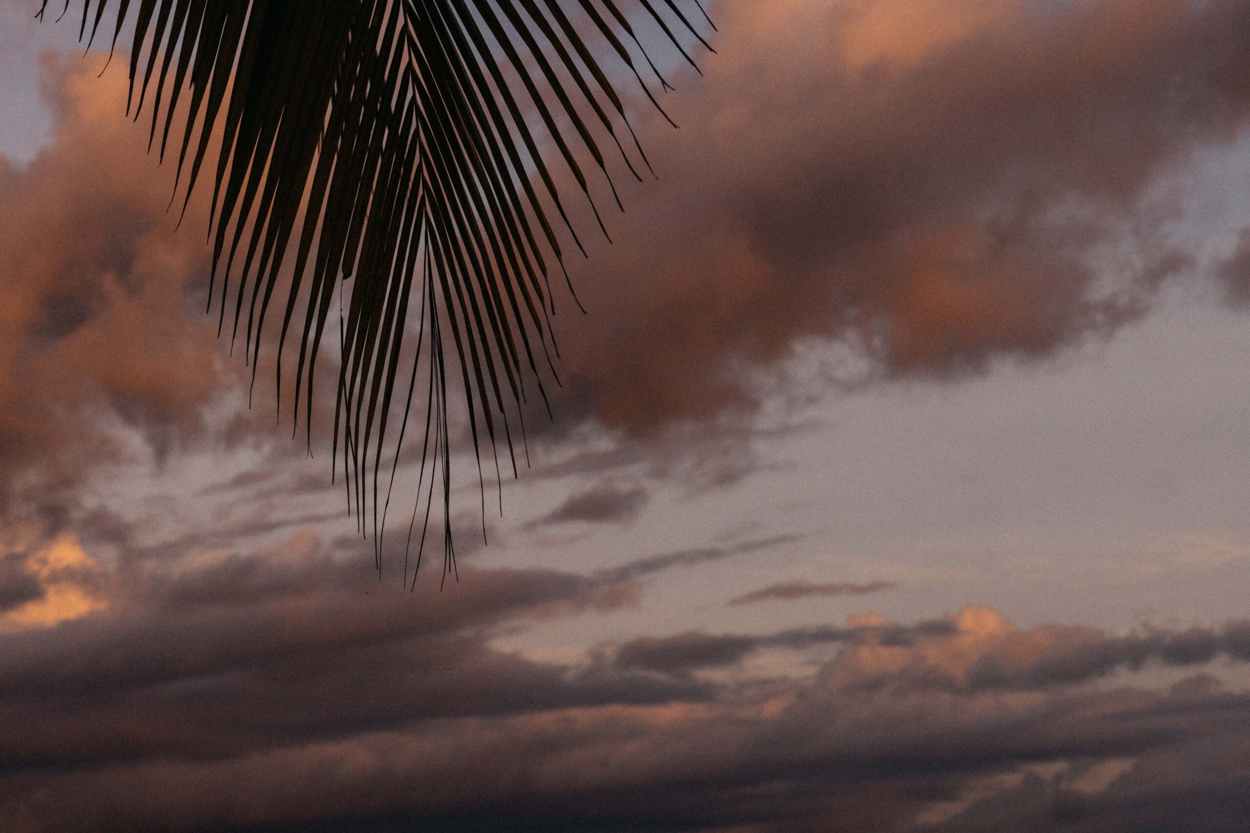 Corcovado - Drake Bay - Costa Rica-22
