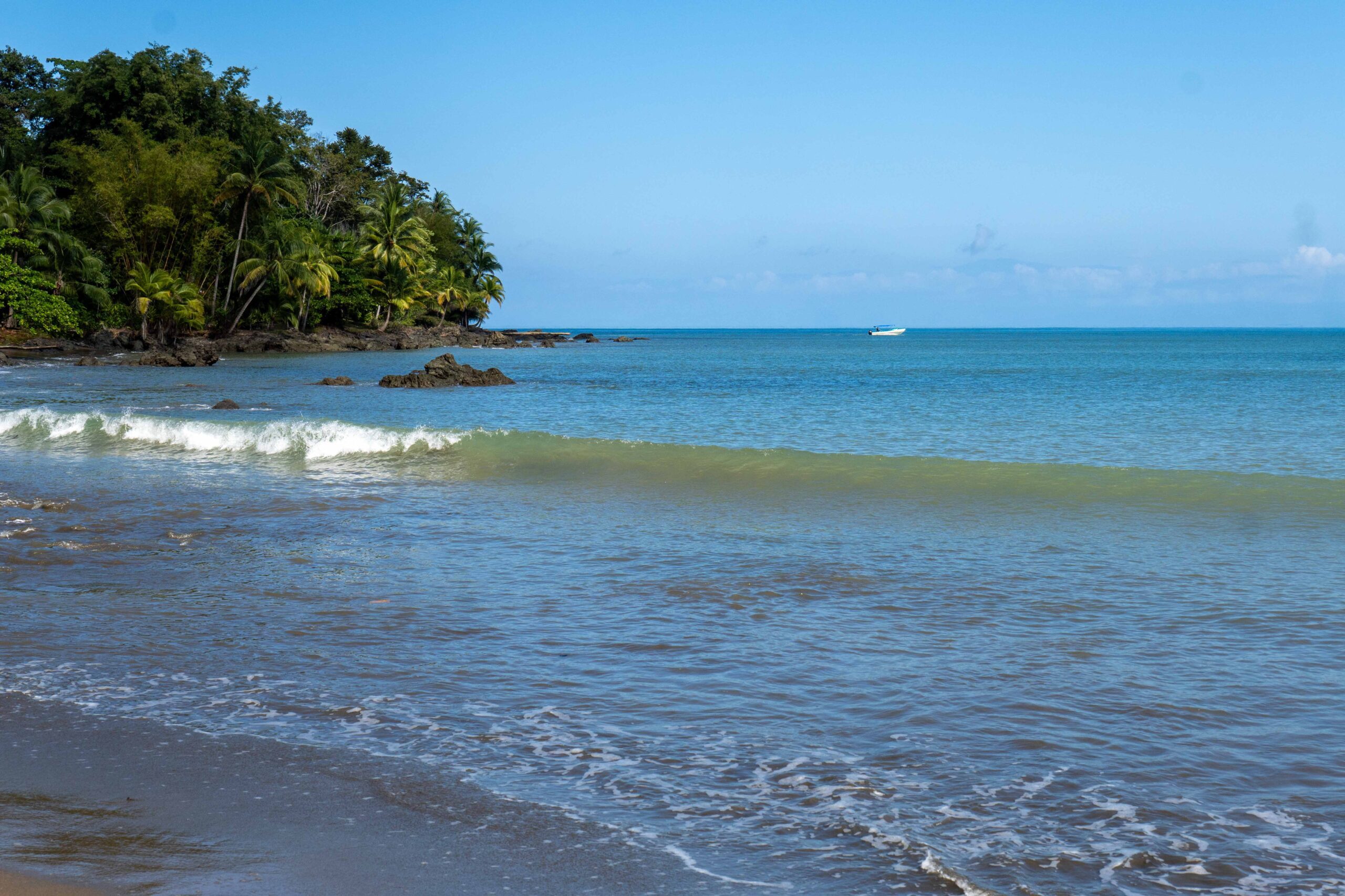 Corcovado - Drake Bay - Costa Rica-31