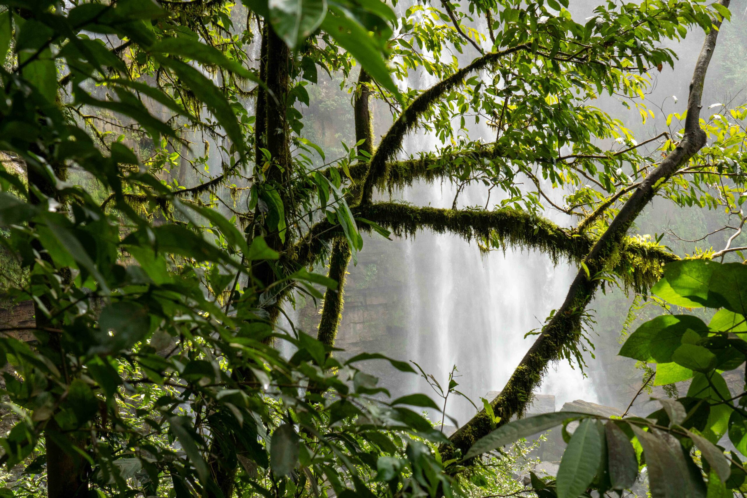 Uvita - Costa Rica-14