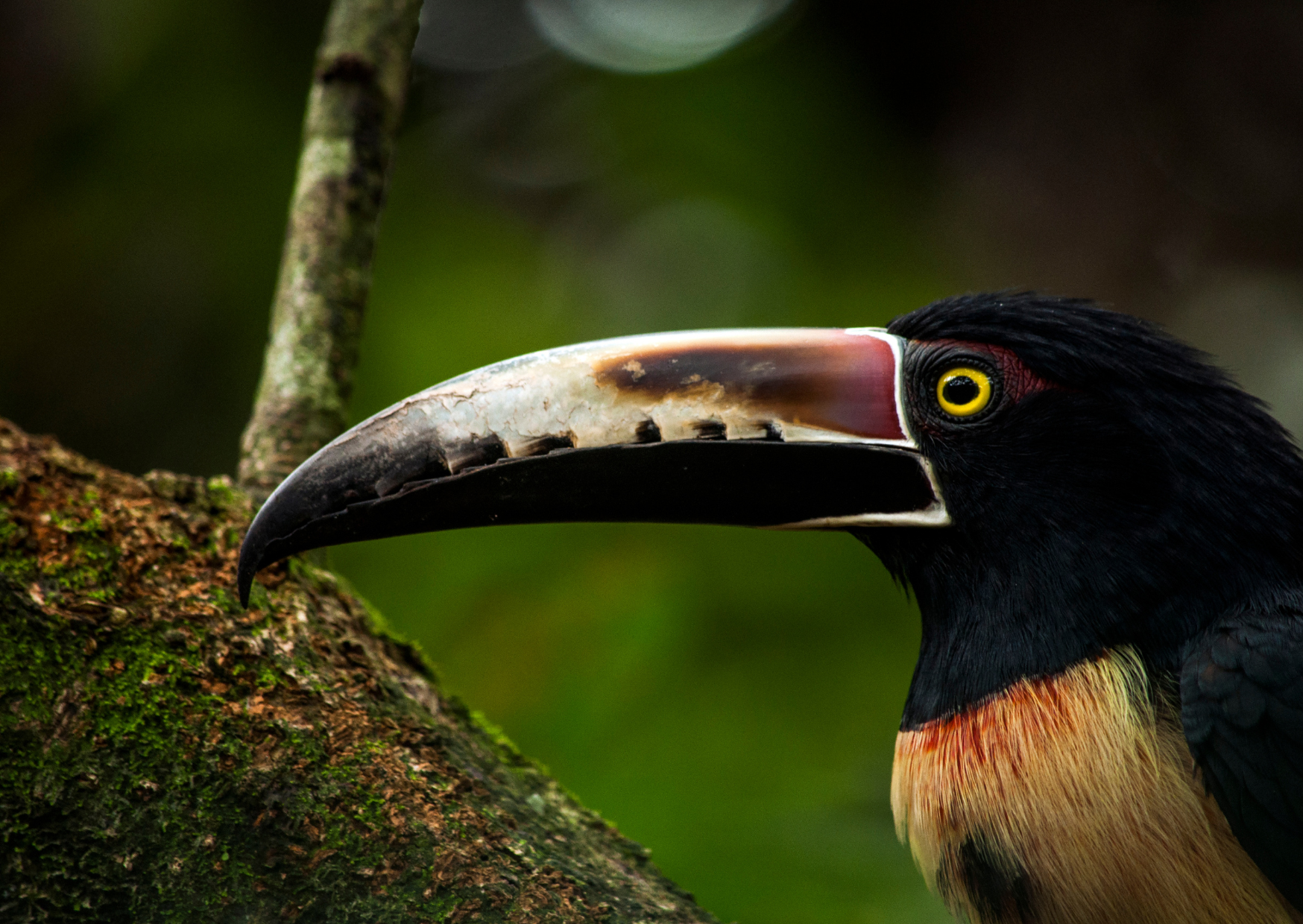 Tips La Fortuna - Costa Rica