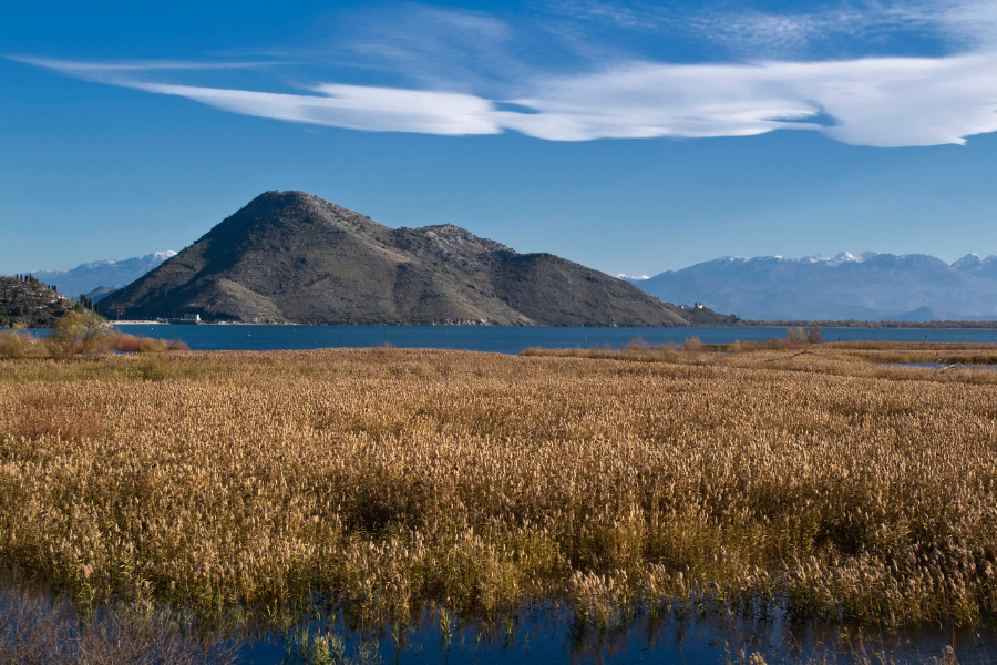 Lake Skadar Boat Trip Lake Skadar Boat Trip