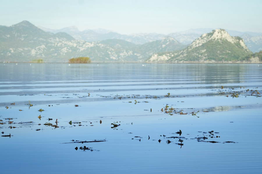 Lake Skadar Boat Trip Lake Skadar Boat Trip