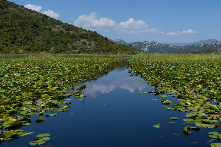 Lake Skadar Boat Trip Lake Skadar Boat Trip